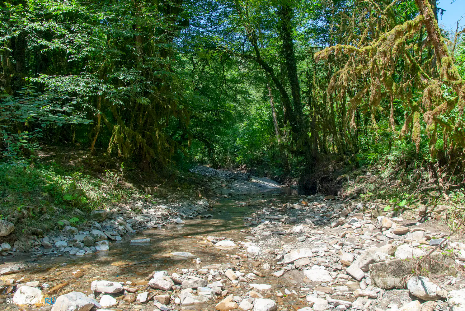 Река Кудепста