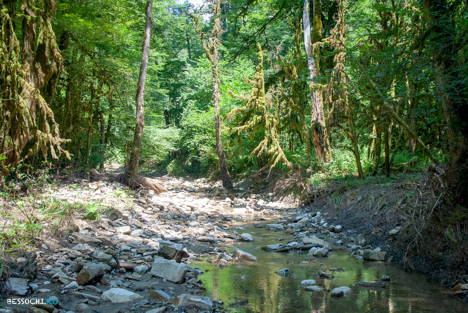 Река Кудепста