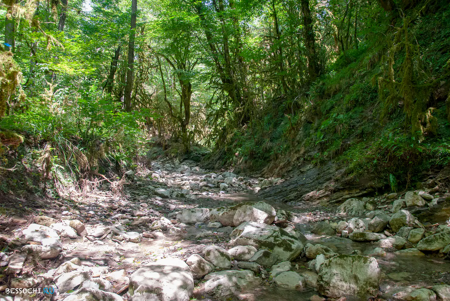 Река Кудепста