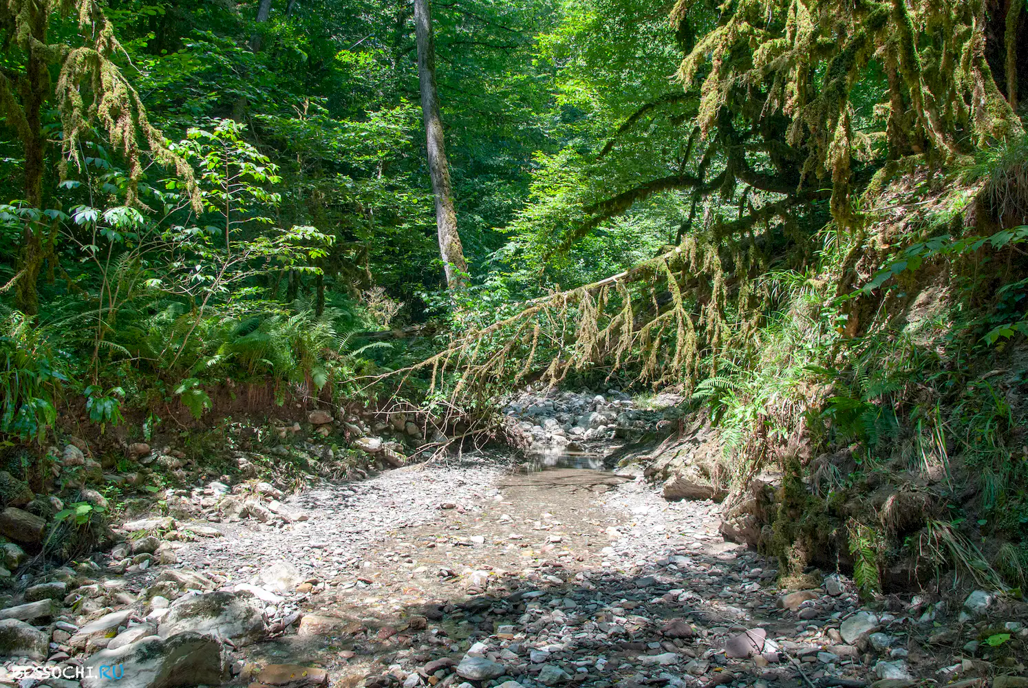 Река Кудепста