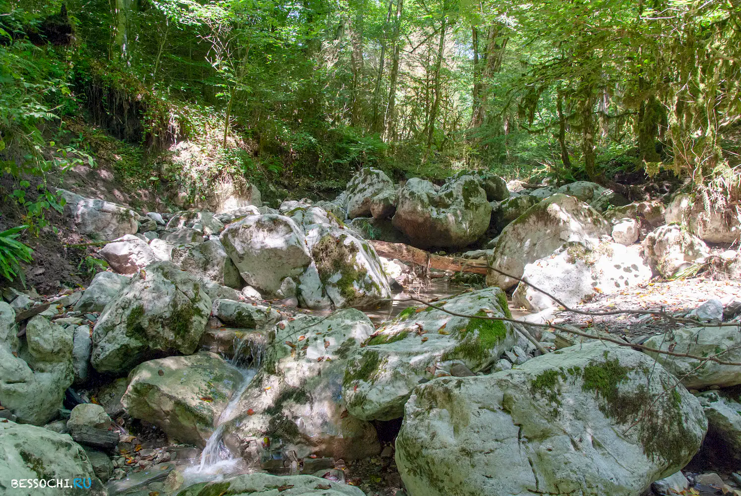 Река Кудепста