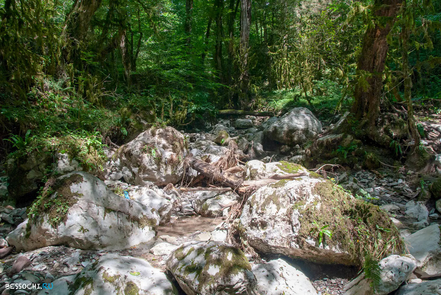 Река Кудепста