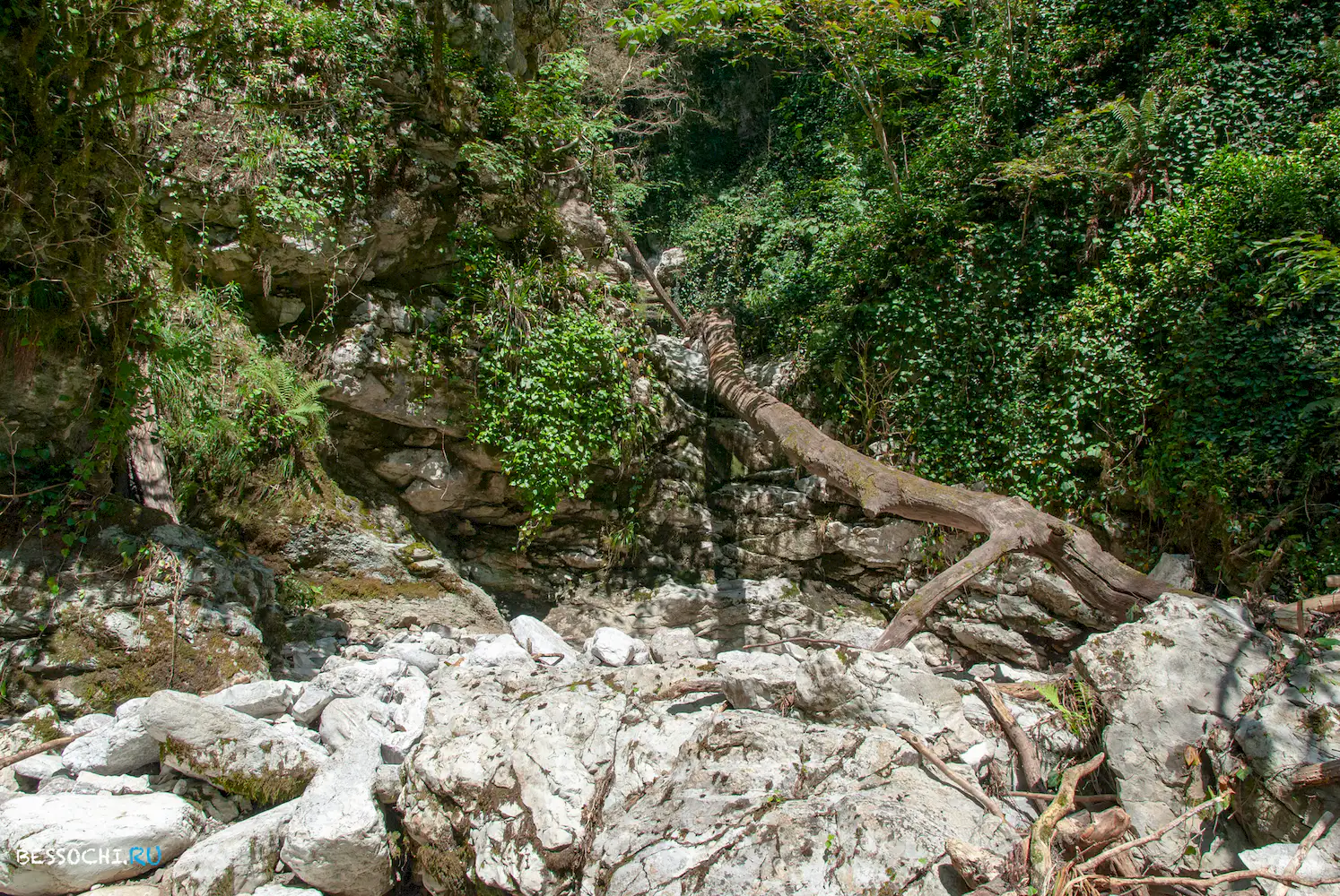 Река Кудепста