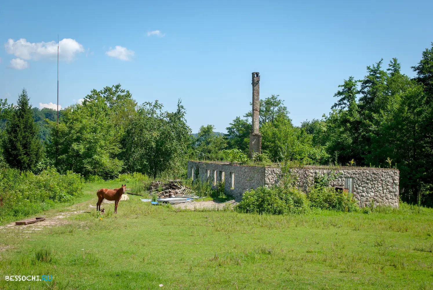 Воронцовка