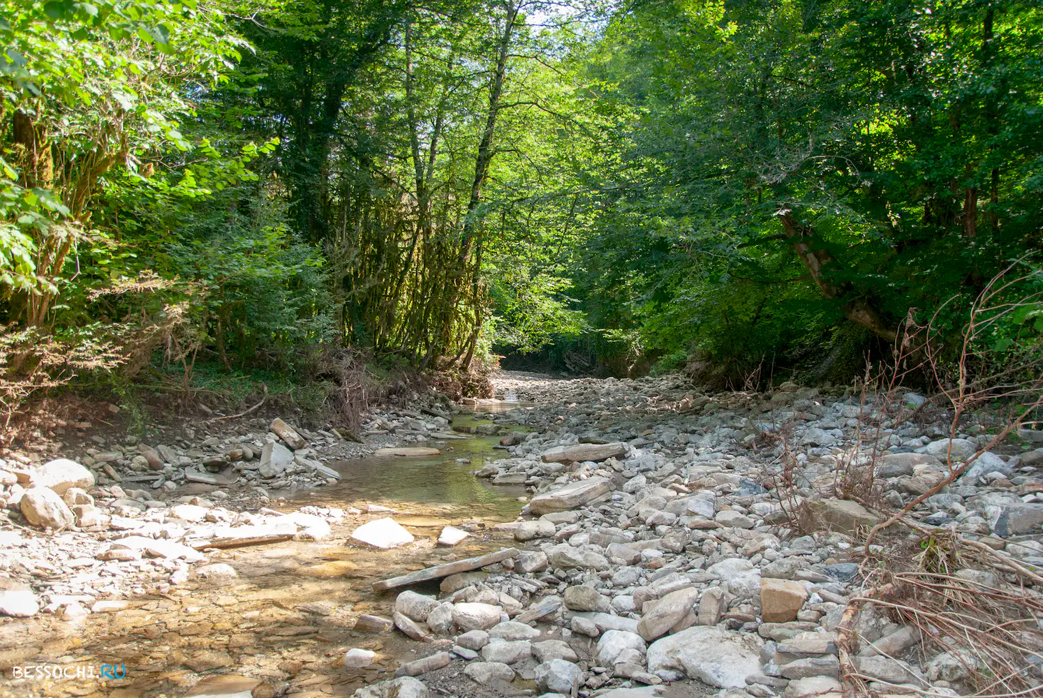 Река Кудепста