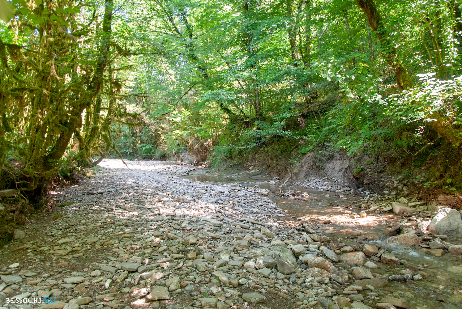 Река Кудепста