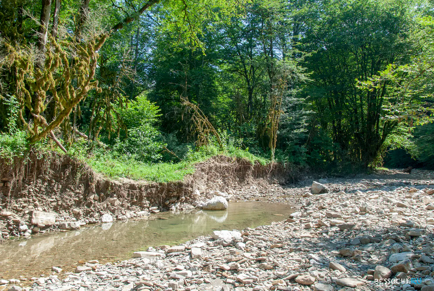 Река Кудепста