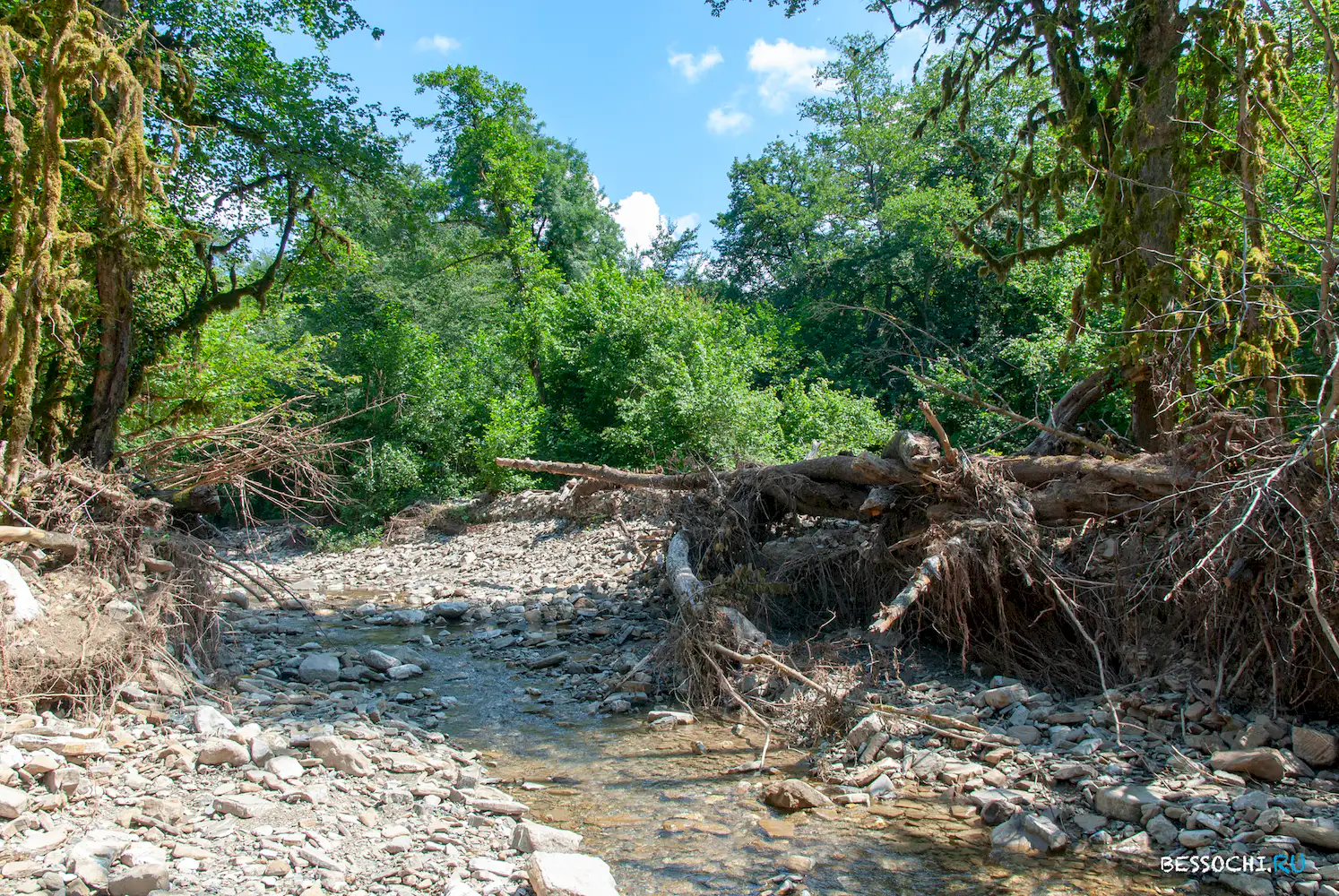 Река Кудепста