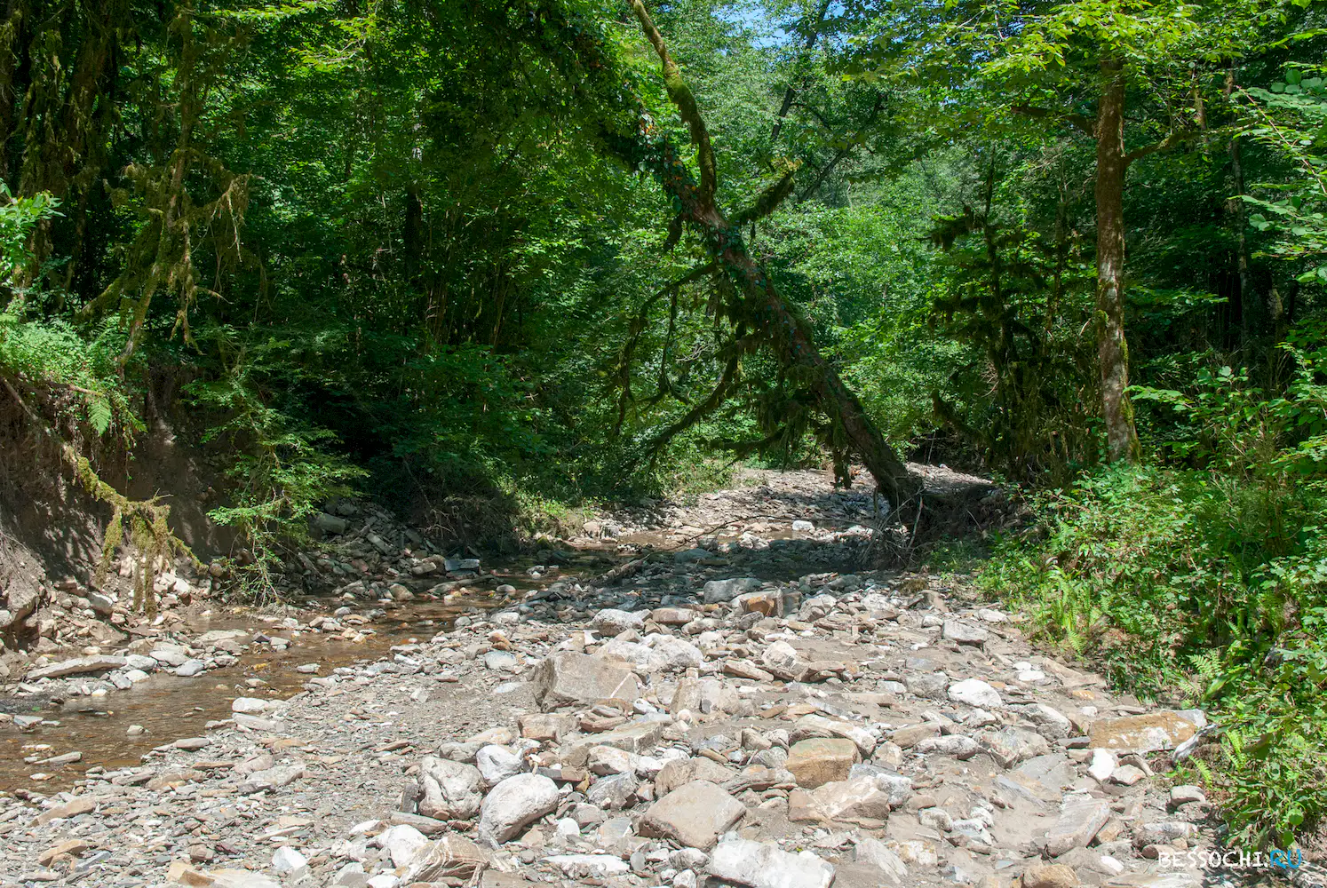 Река Кудепста