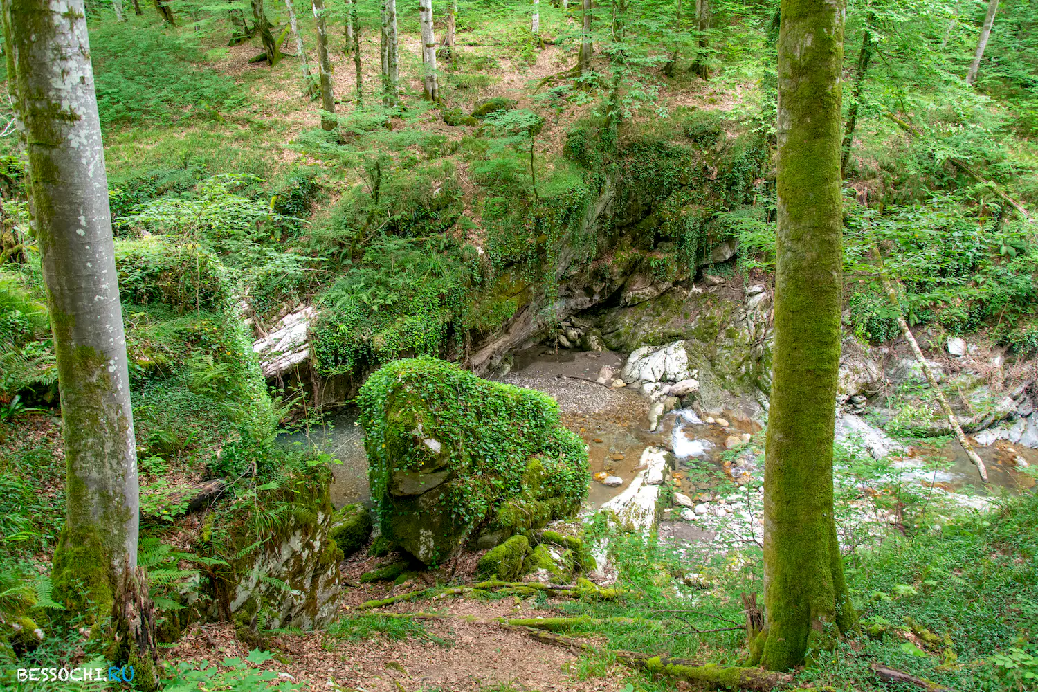 каньон Псахо