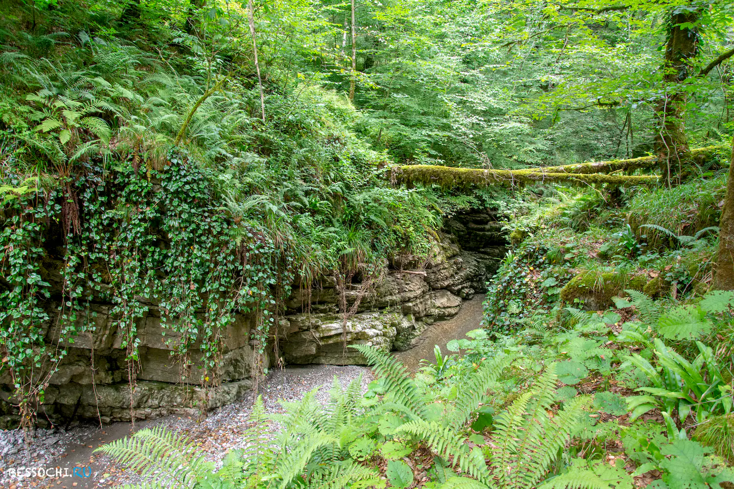 каньон Псахо