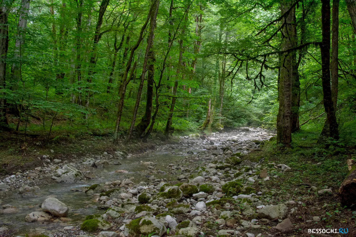 каньон псахо