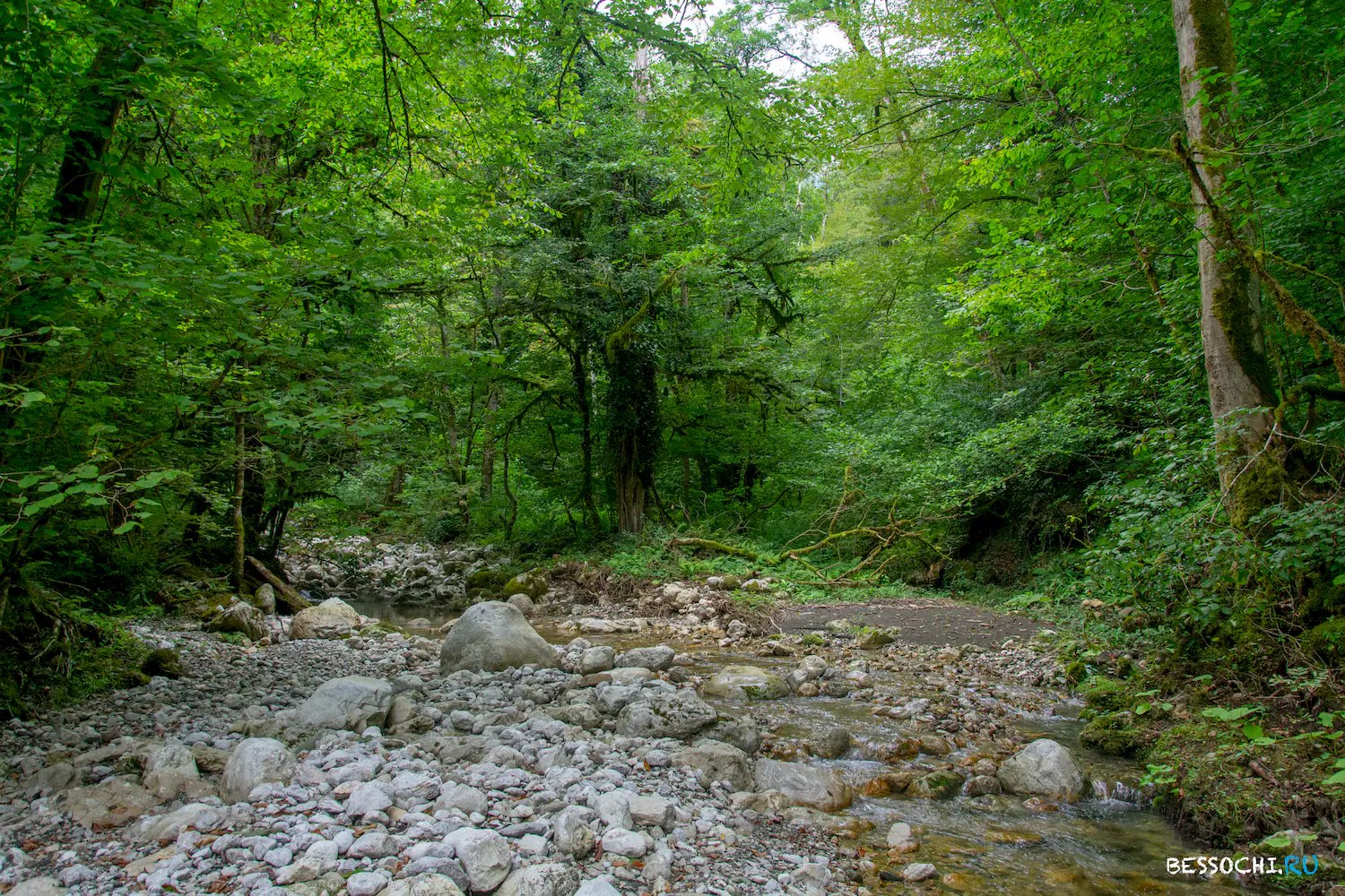 каньон псахо