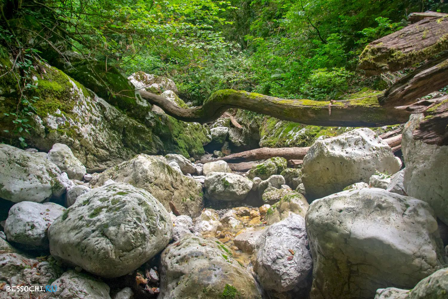 каньон псахо