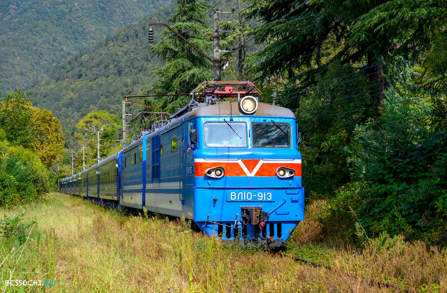 Туристический поезд Сочи