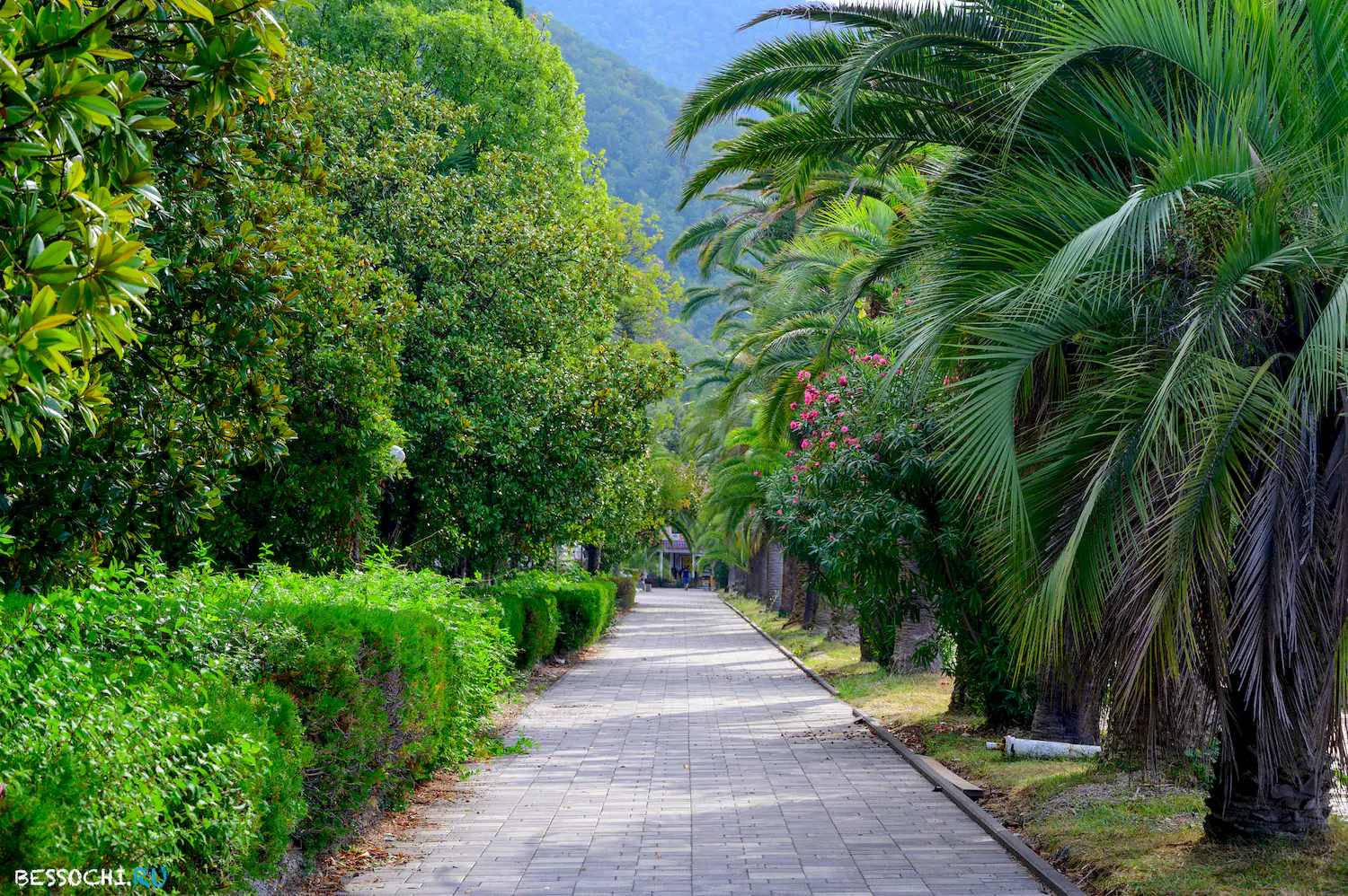 Приморский парк Гагра