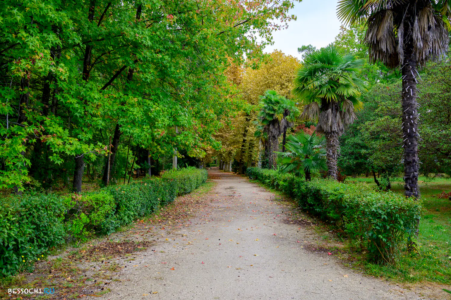 Приморский парк Гагра