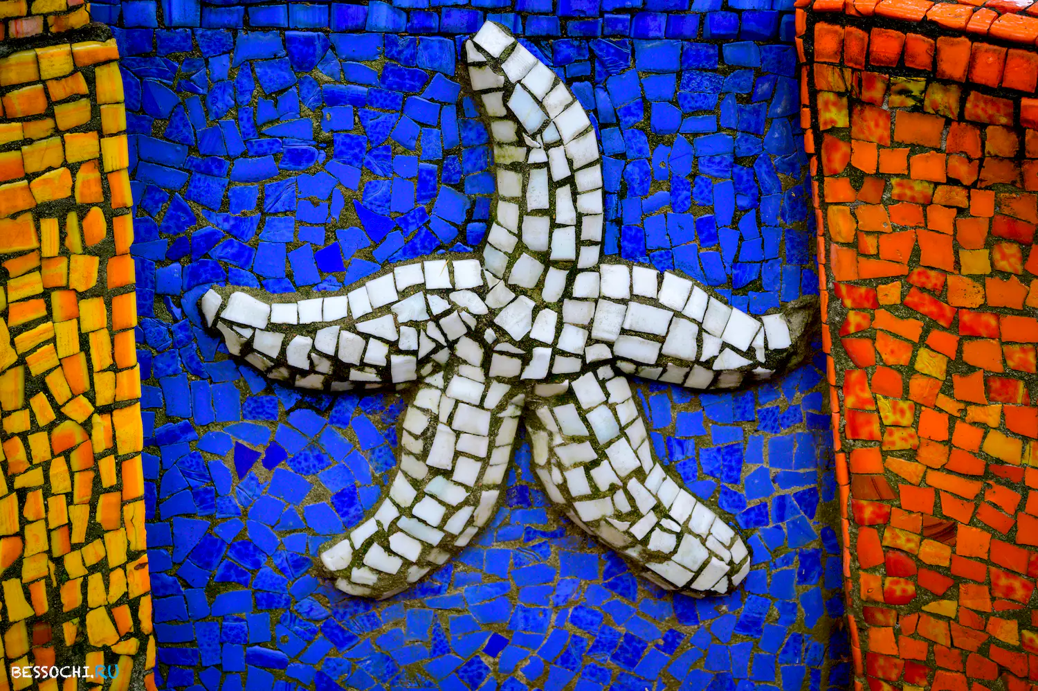 Приморский парк Гагра