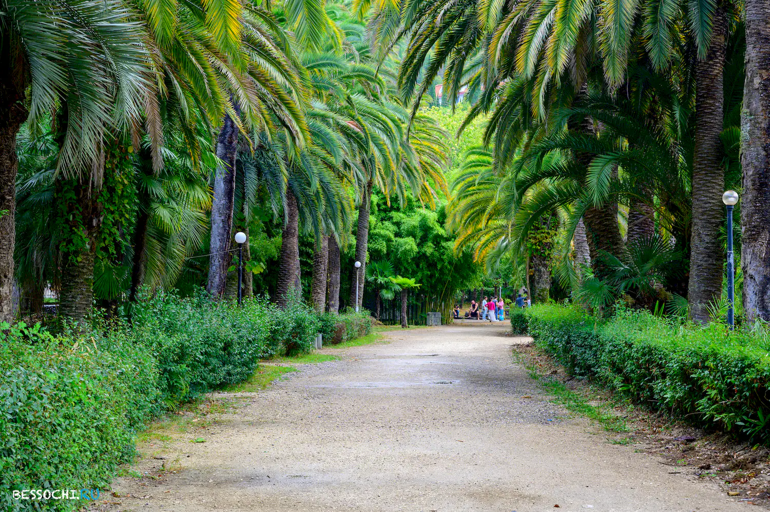 Приморский парк Гагра