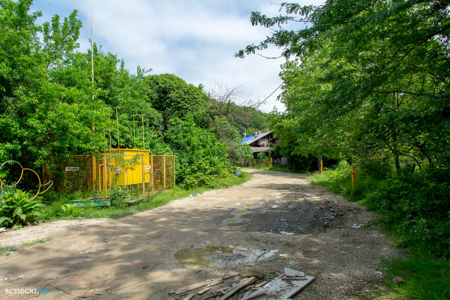 Грушевый сад