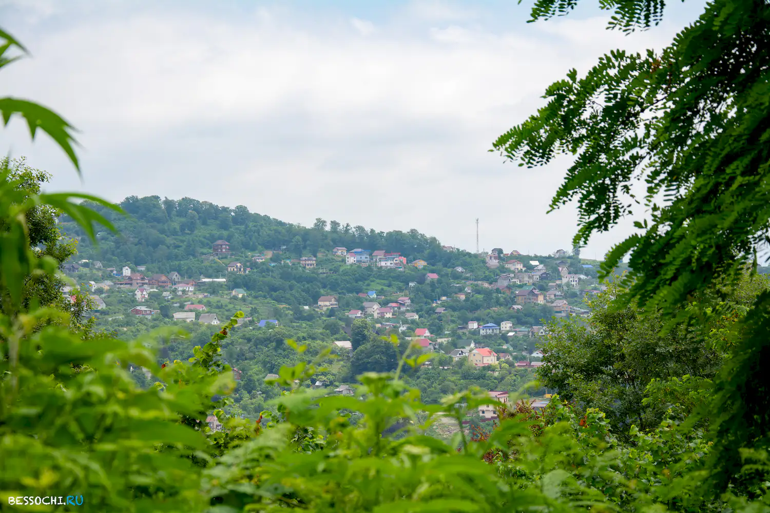 Грушевый сад