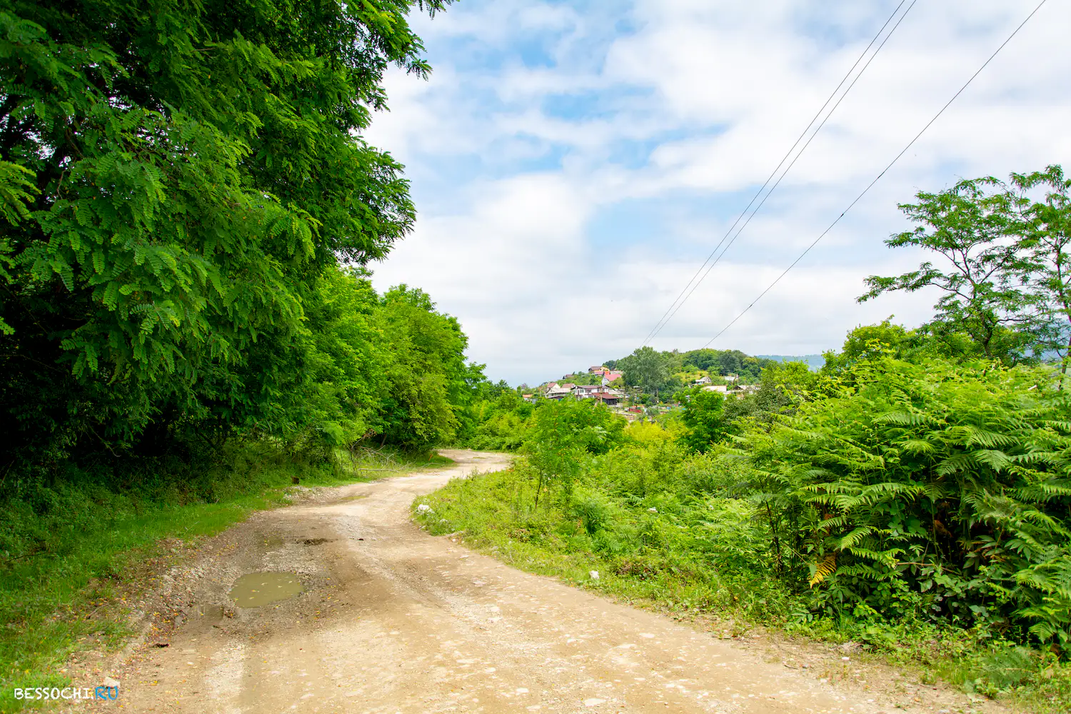 Грушевый сад