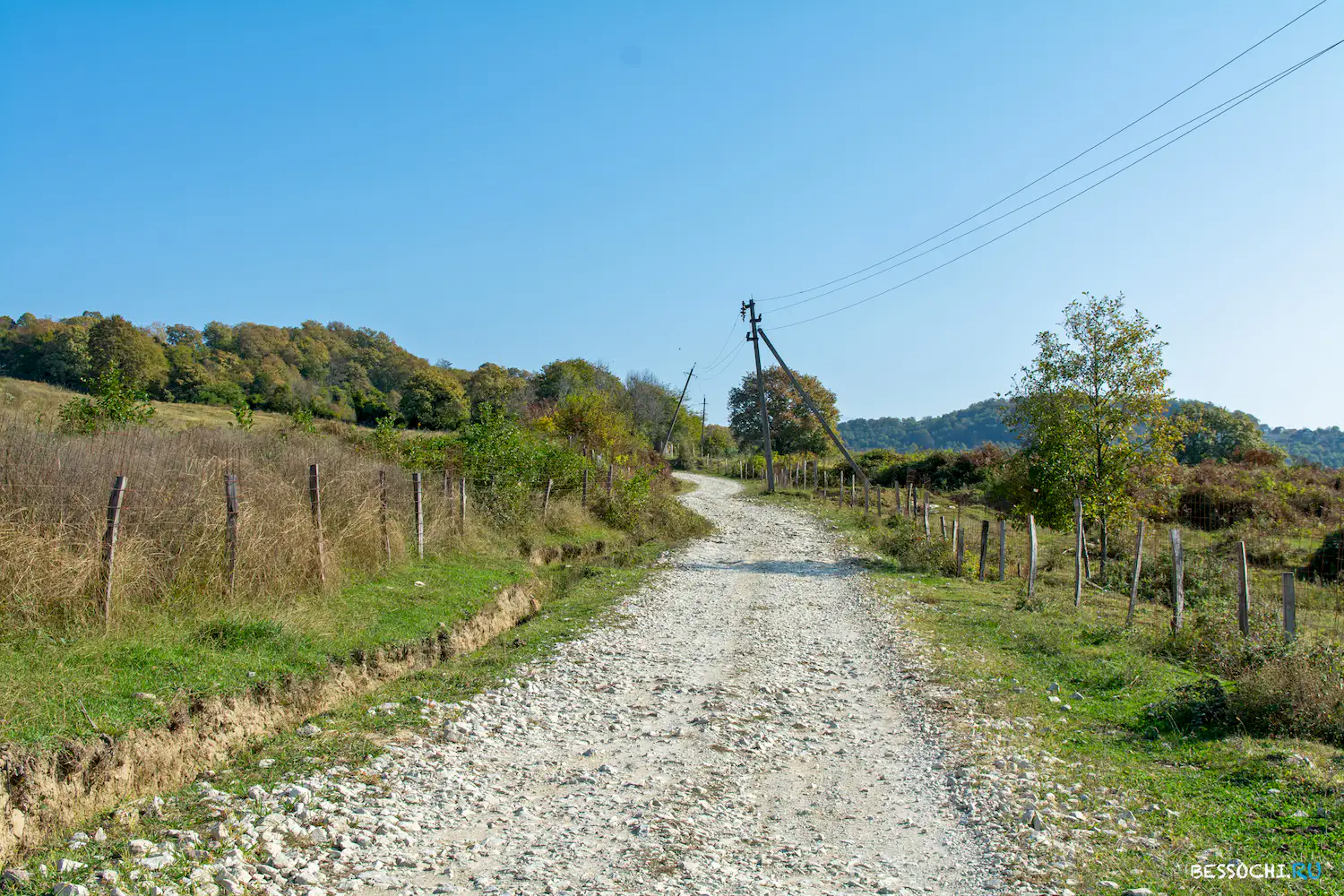 Вардане-Верино