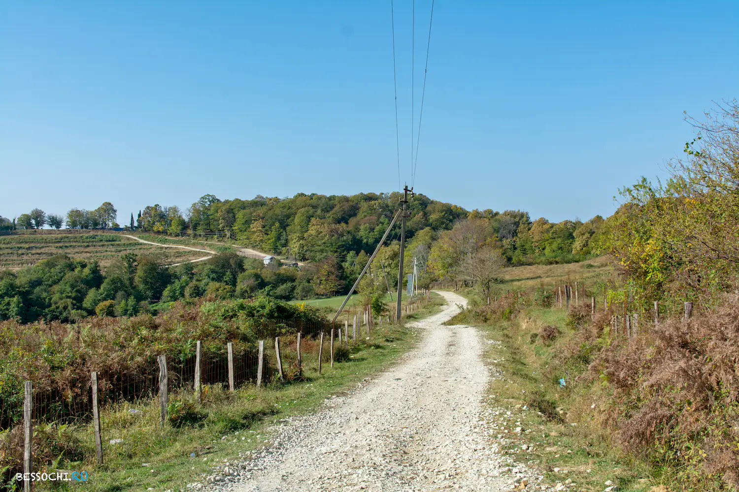 Вардане-Верино