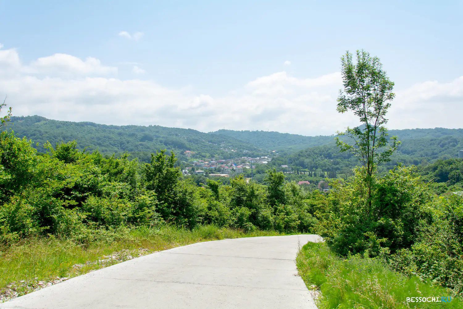 Орел Изумруд