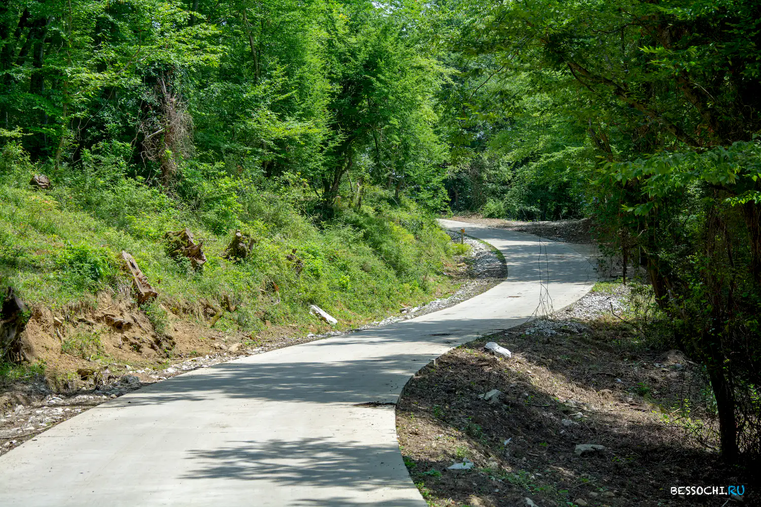 Вардане-Верино