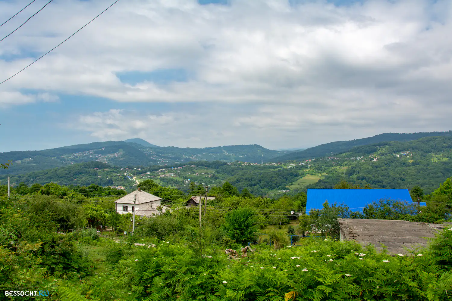 Вардане-Верино