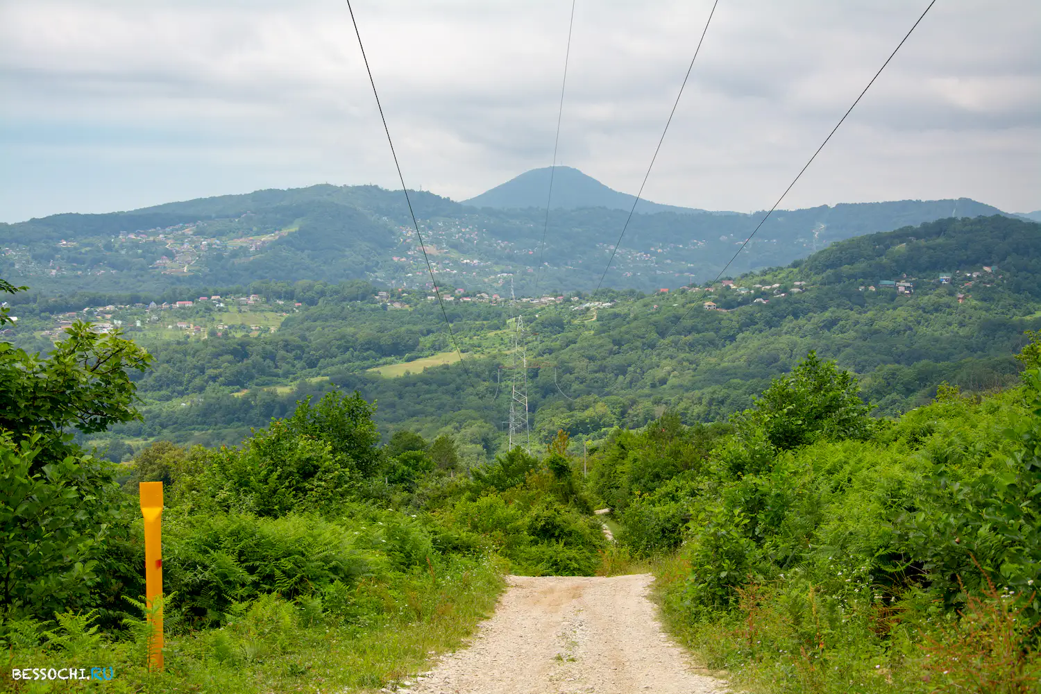 Вардане-Верино