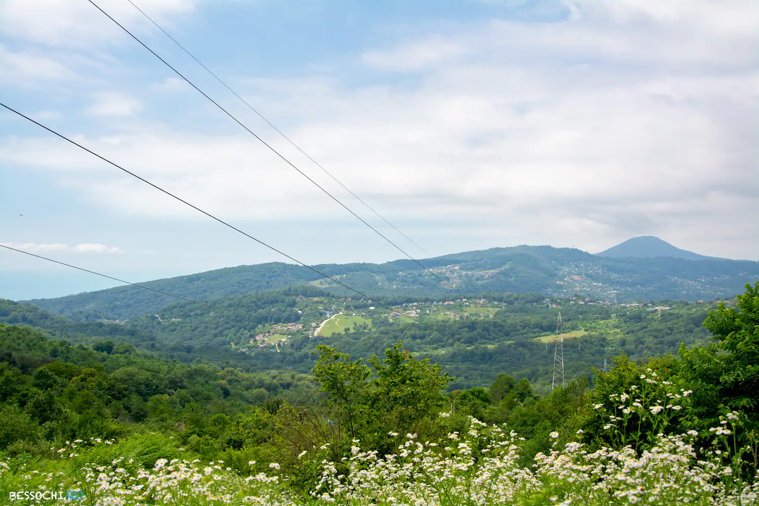 Вардане-Верино