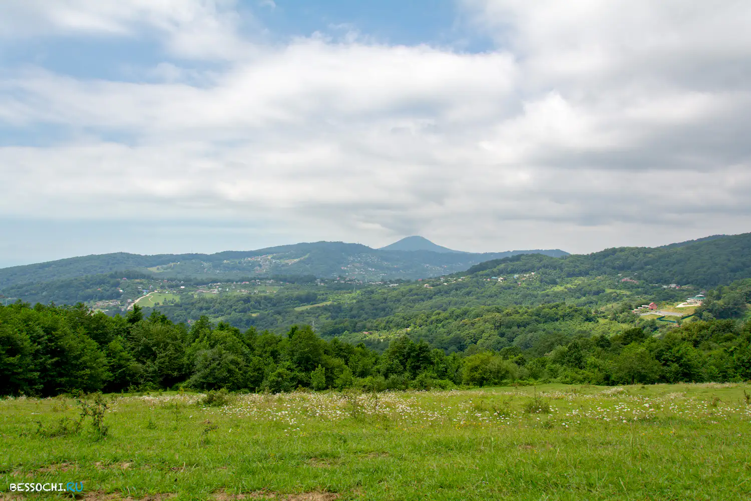 Вардане-Верино