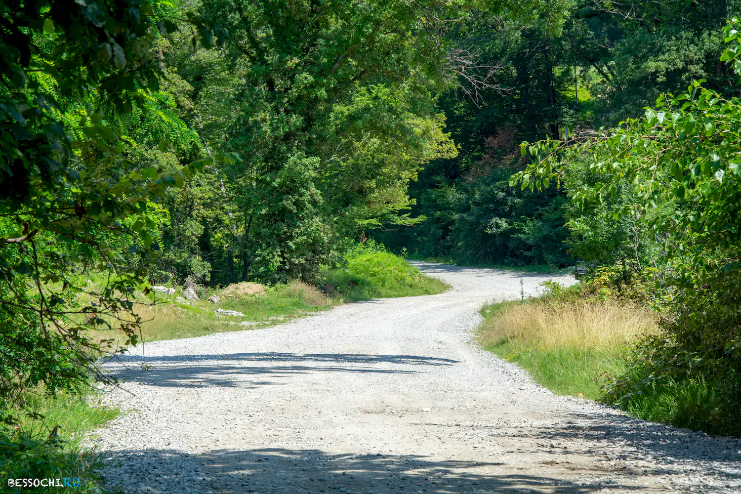 Орел Изумруд