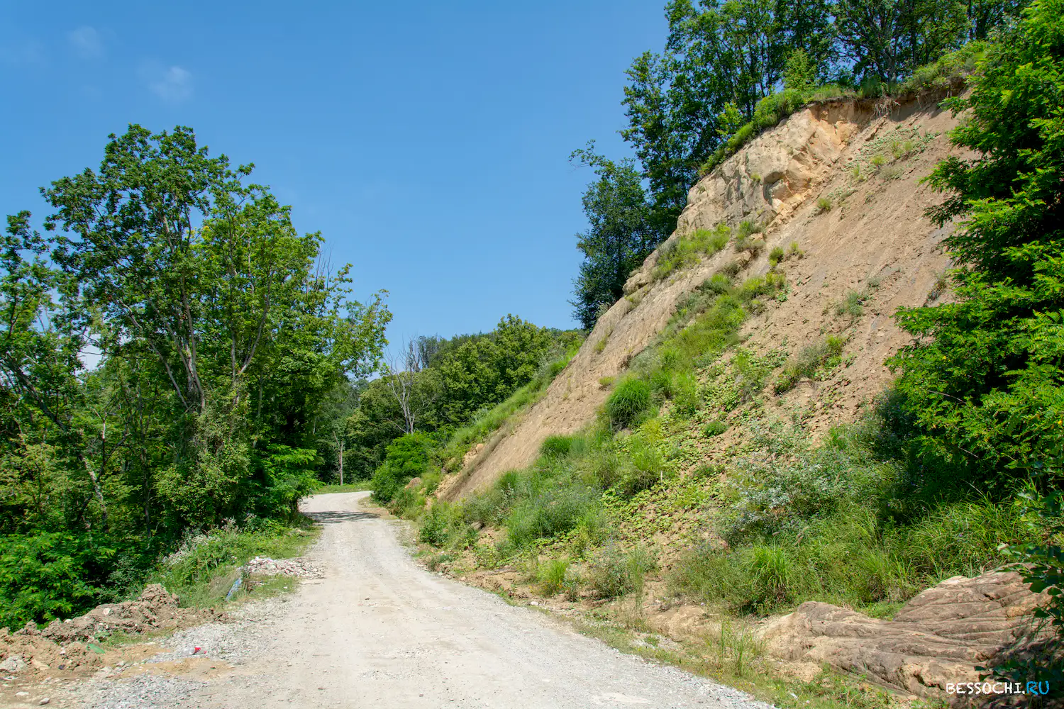 Орел Изумруд