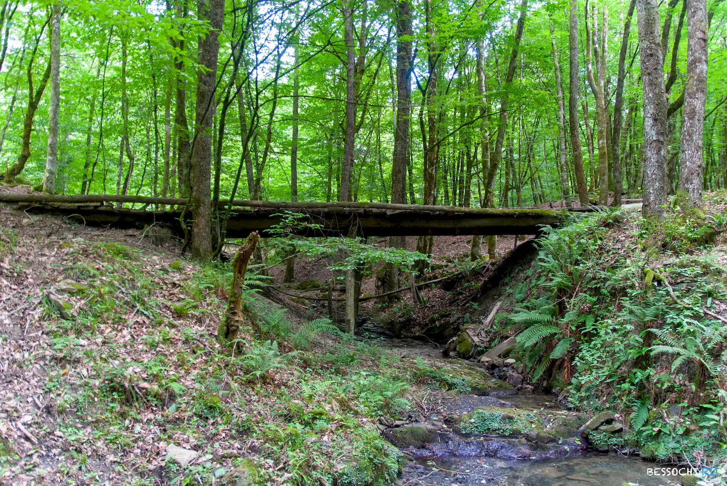 Змейковские водопады