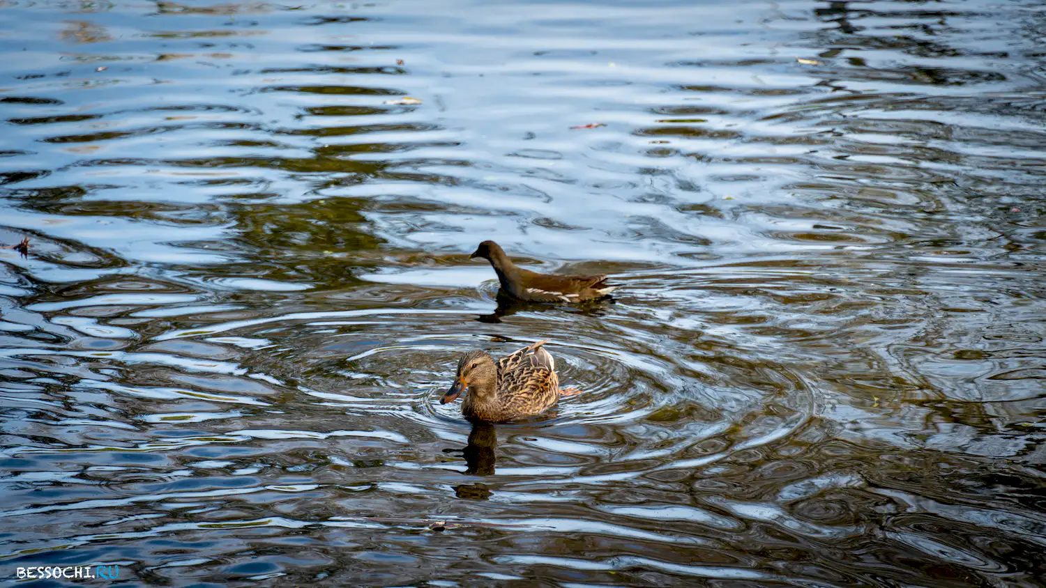 Имеретинский курорт