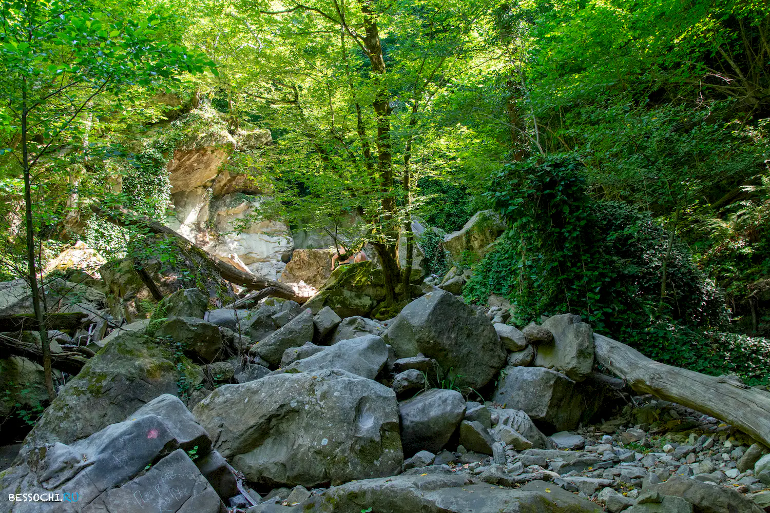 Свирское ущелье