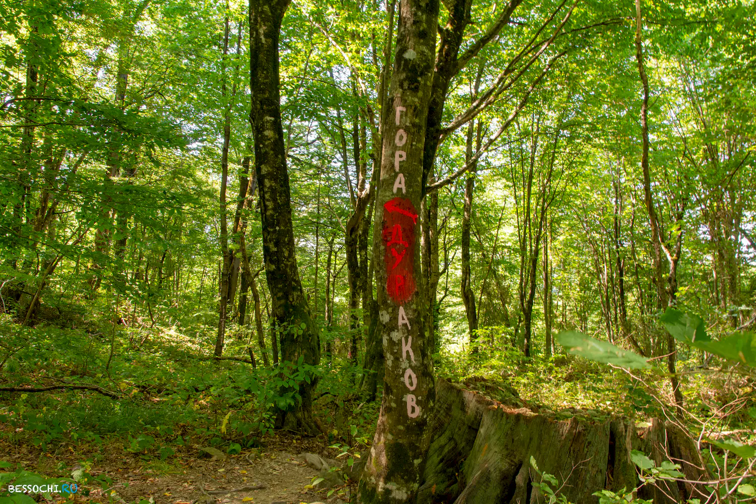 Свирское ущелье