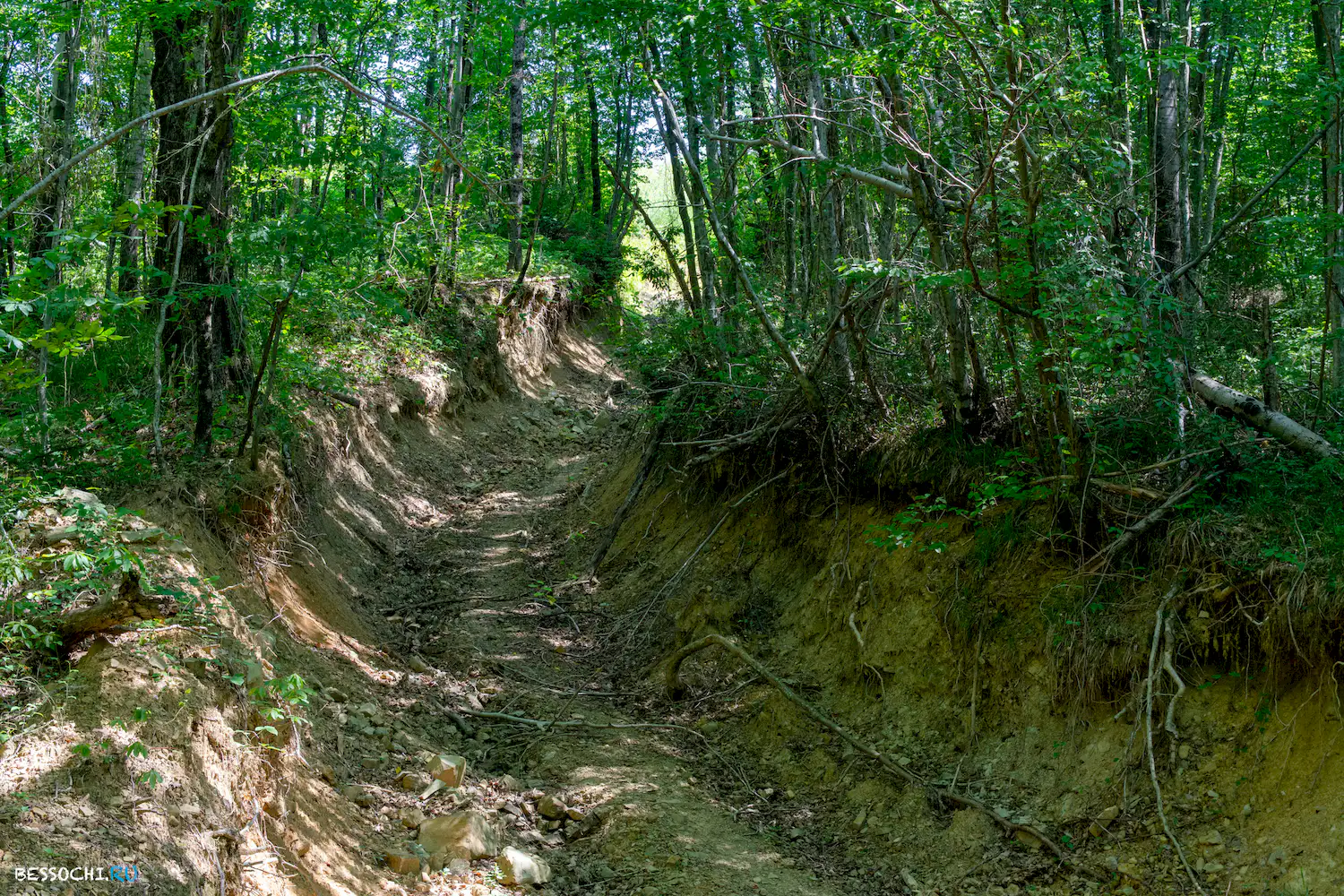 Свирское ущелье