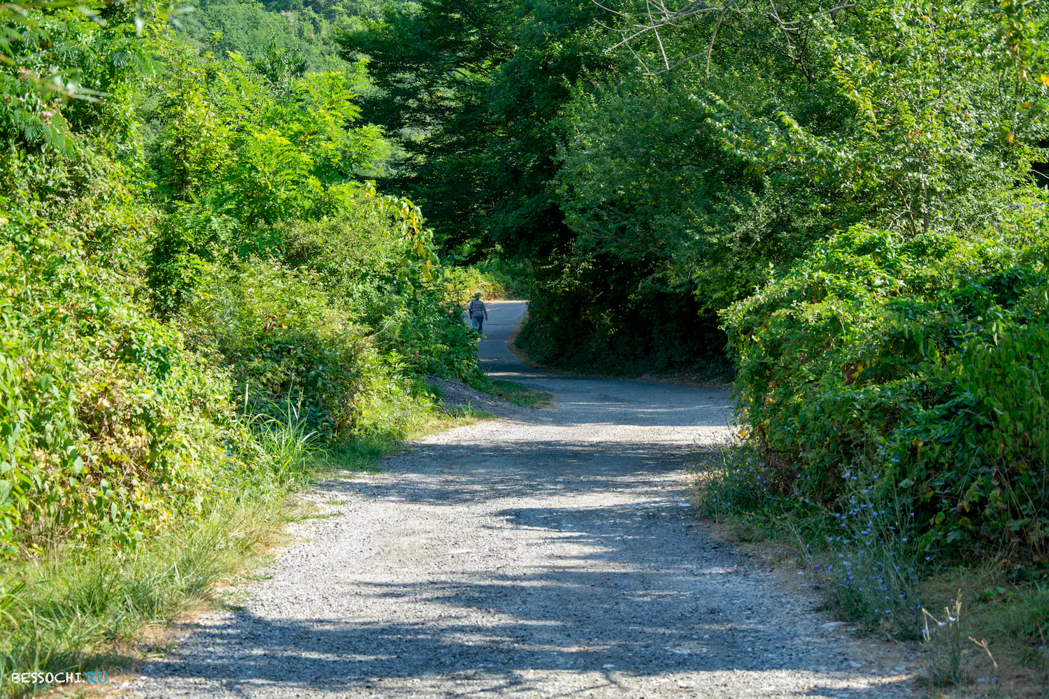 Свирское ущелье