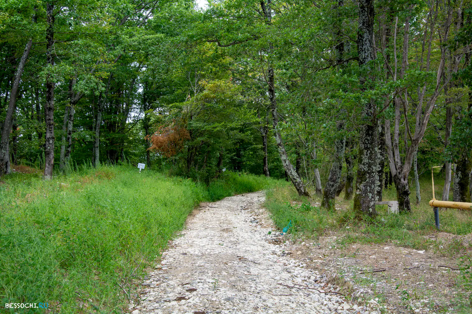 Аэропорт Сочи