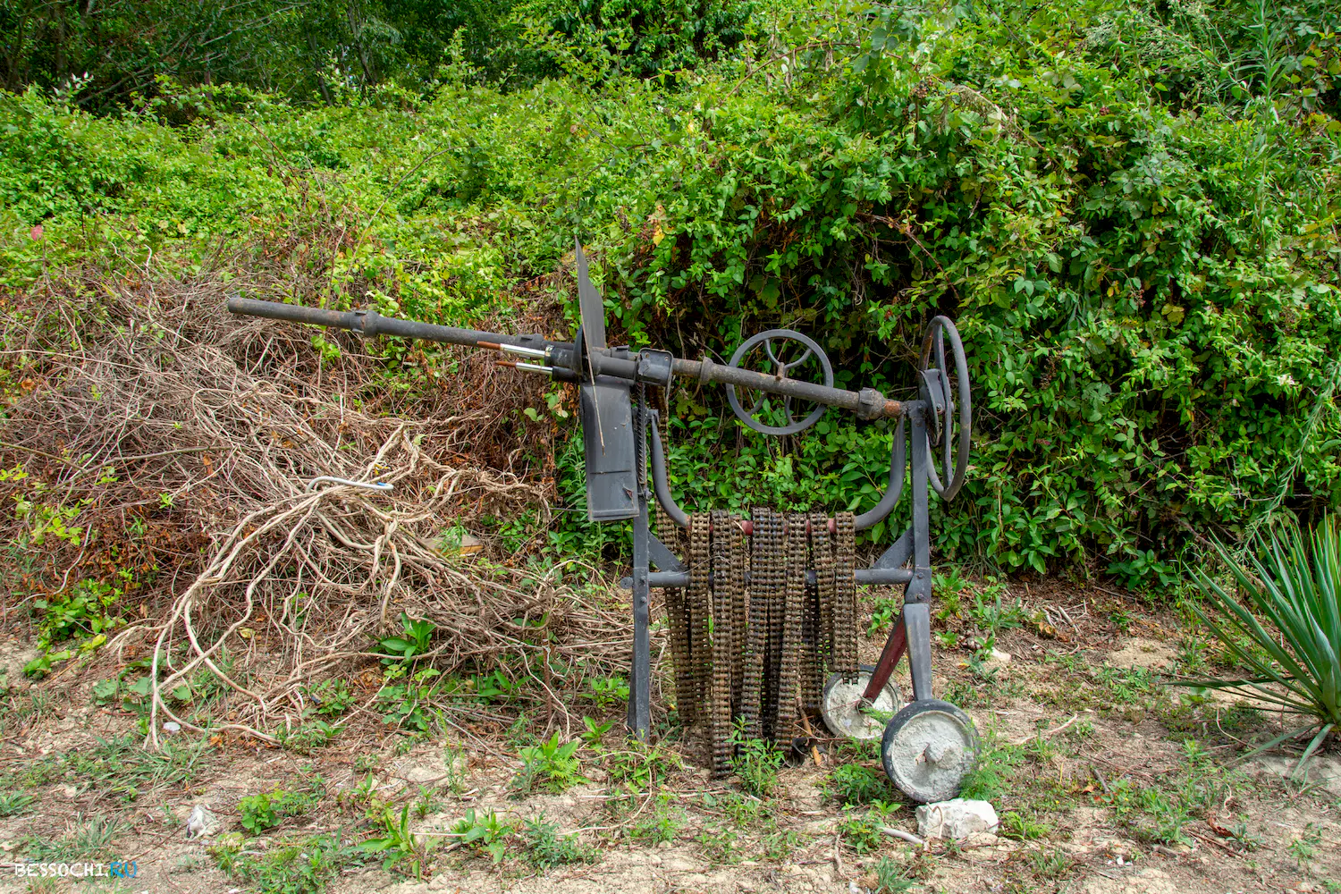 Ачигварское озеро