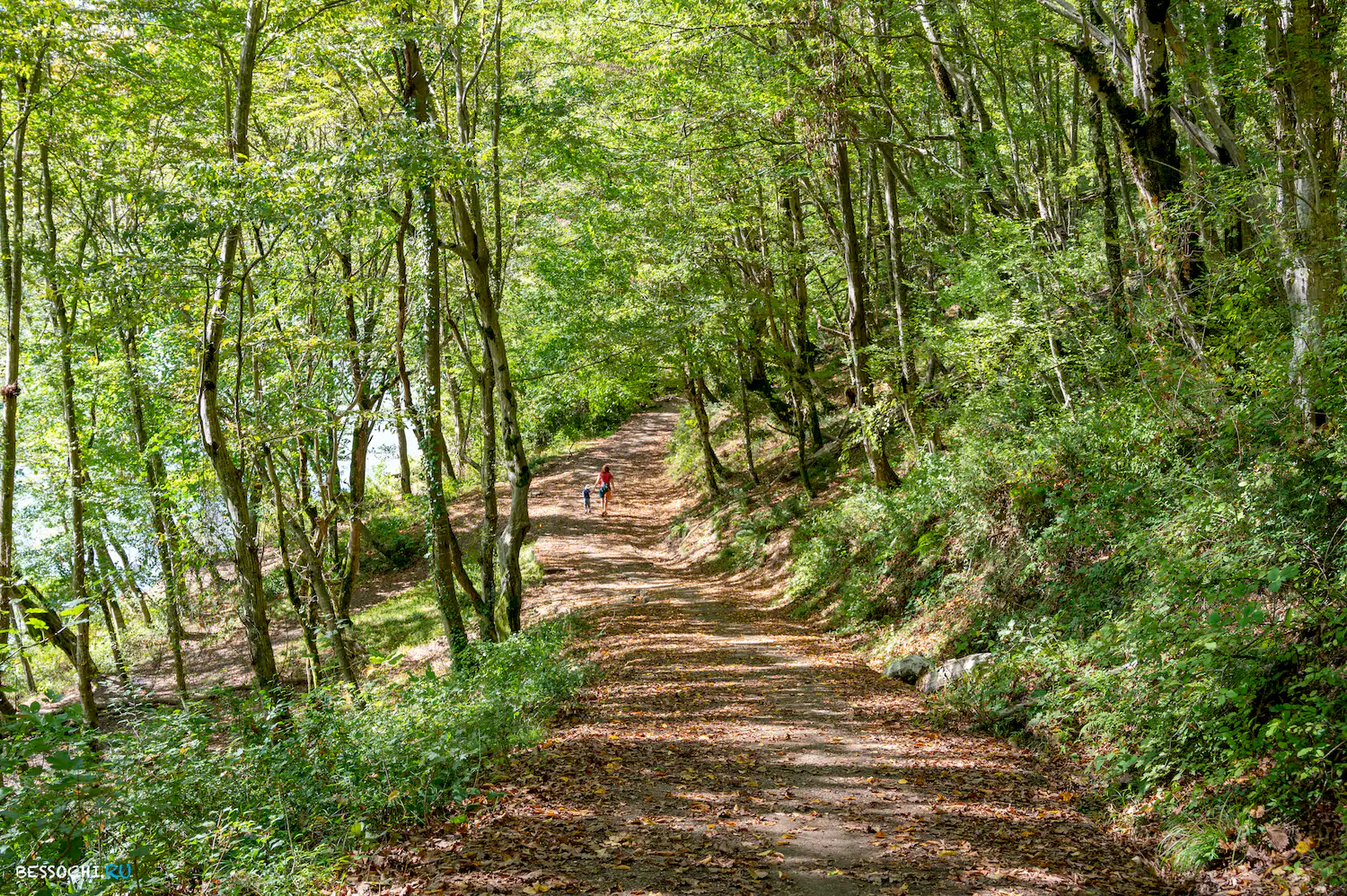 Министерские озера