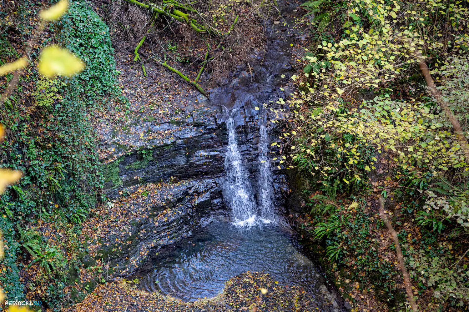 Веселый гном