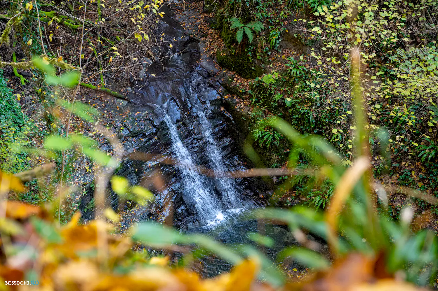 Веселый гном