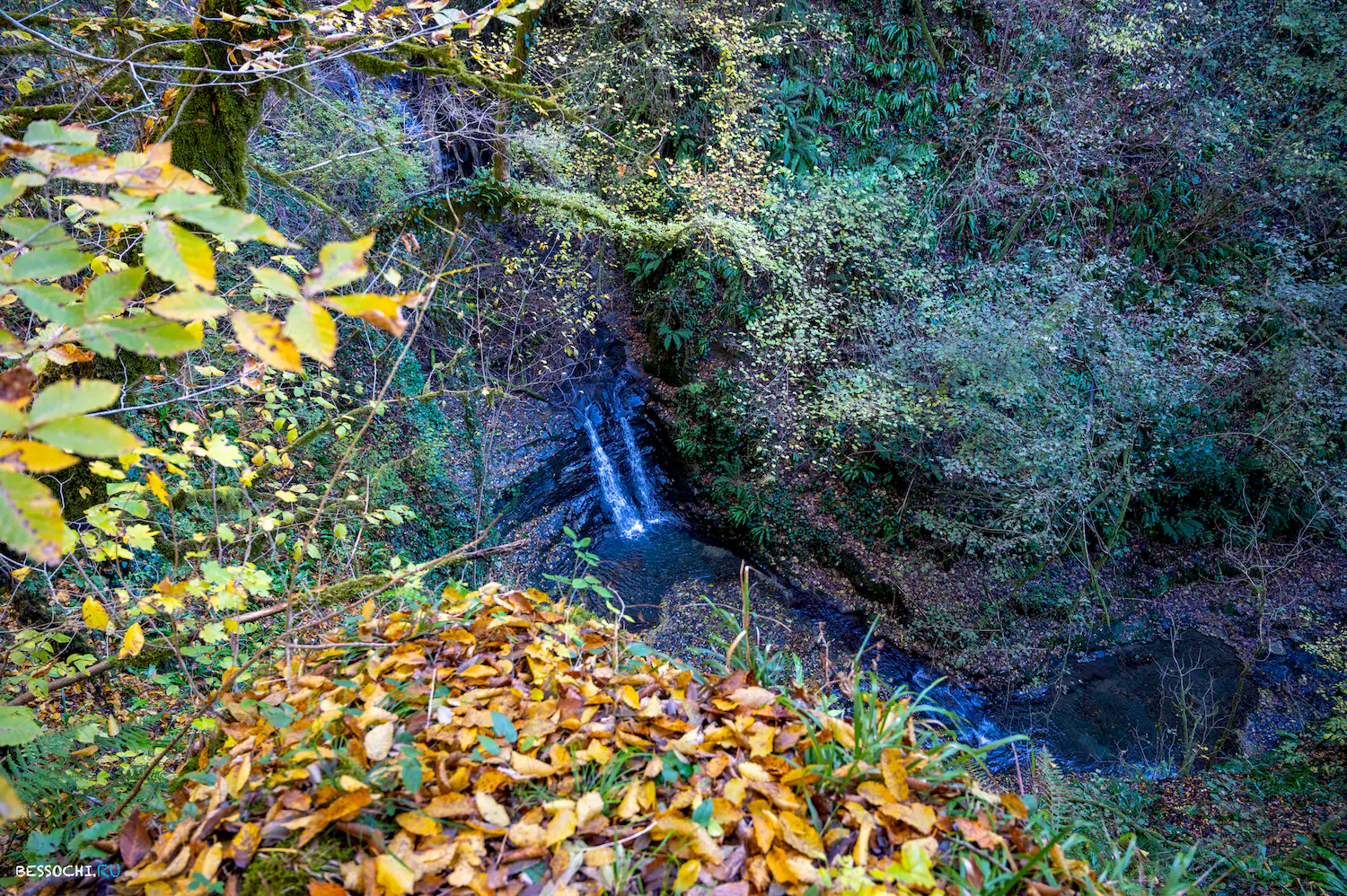 Веселый гном