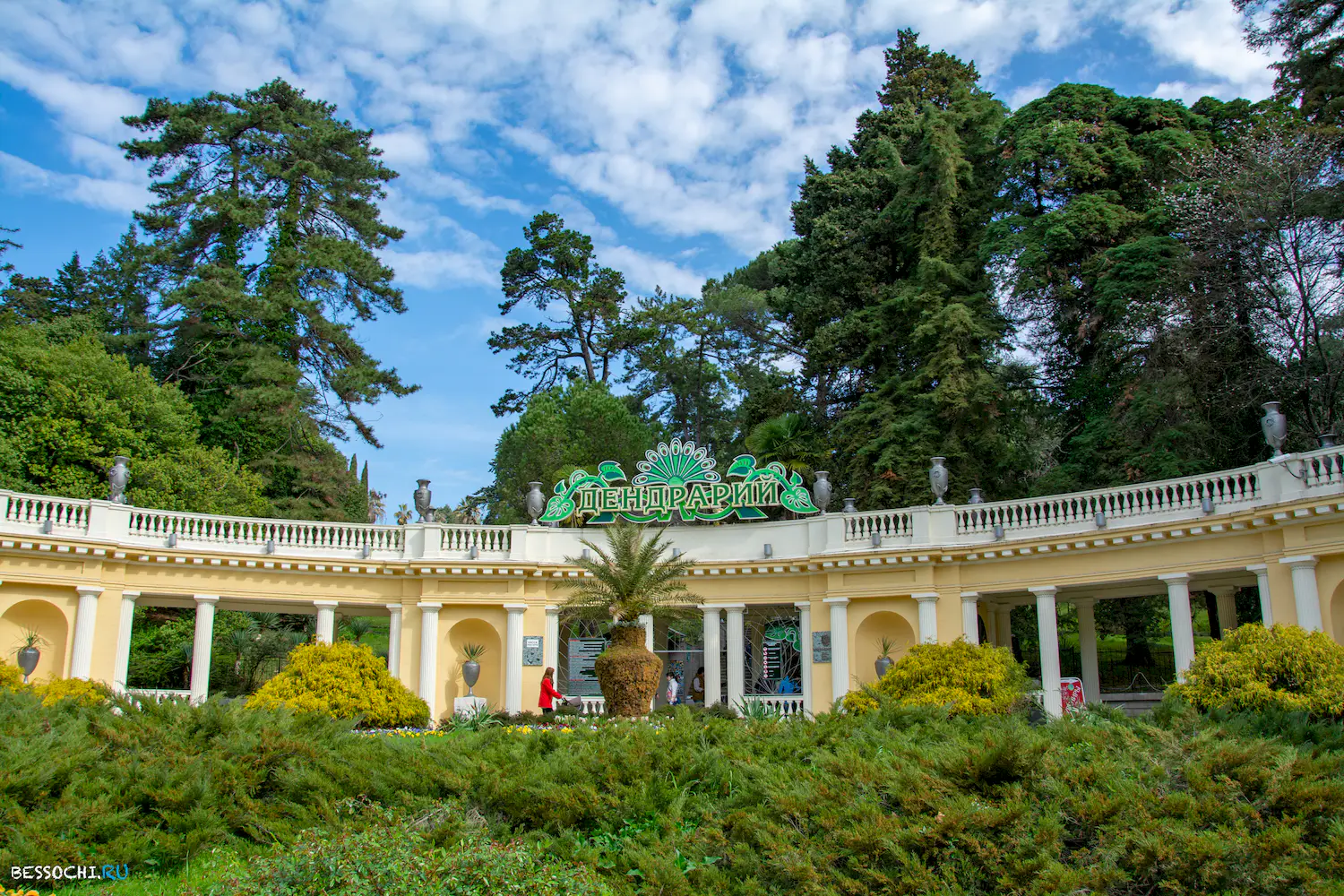 Дендрарий