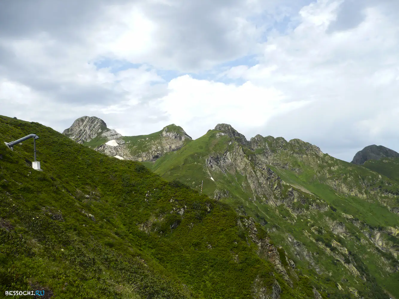 Альпика-сервис